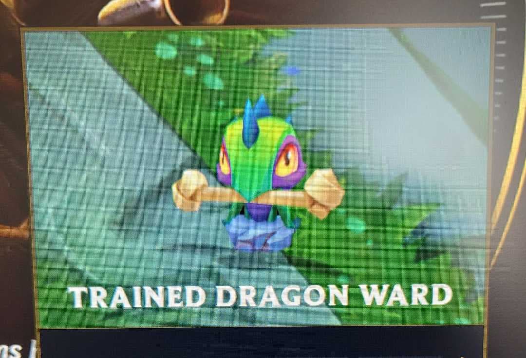 Fixed Image