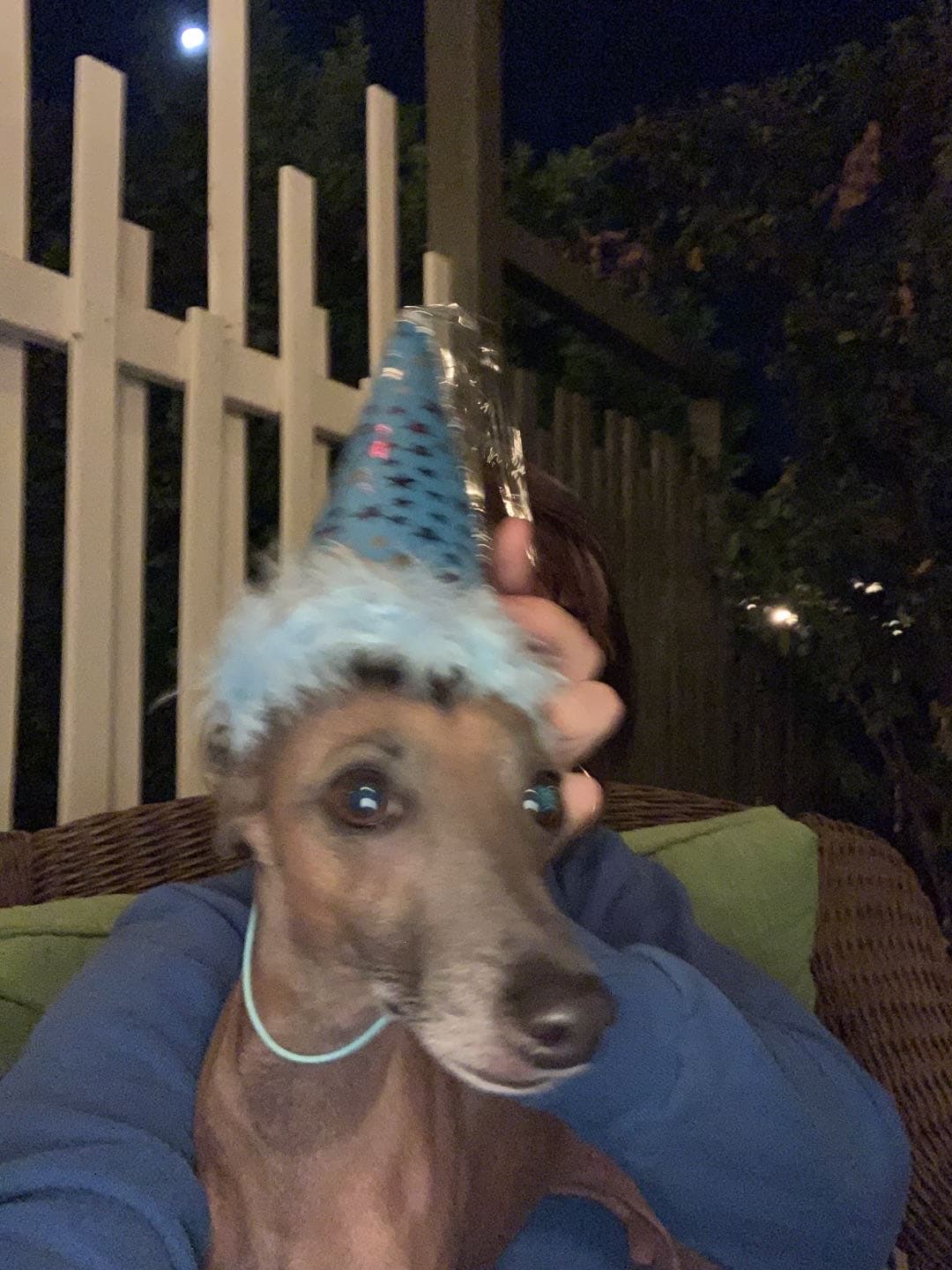 ellahat