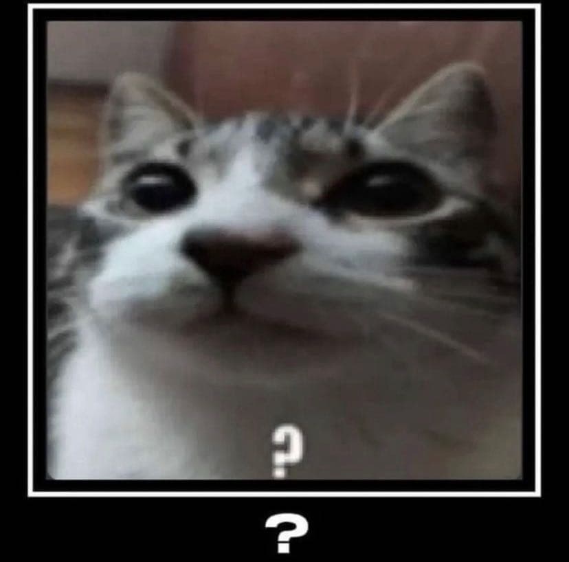 lk311