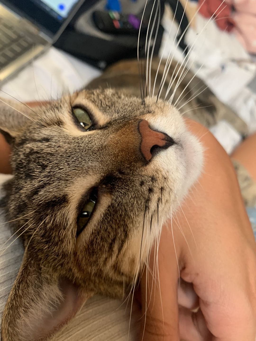 cas