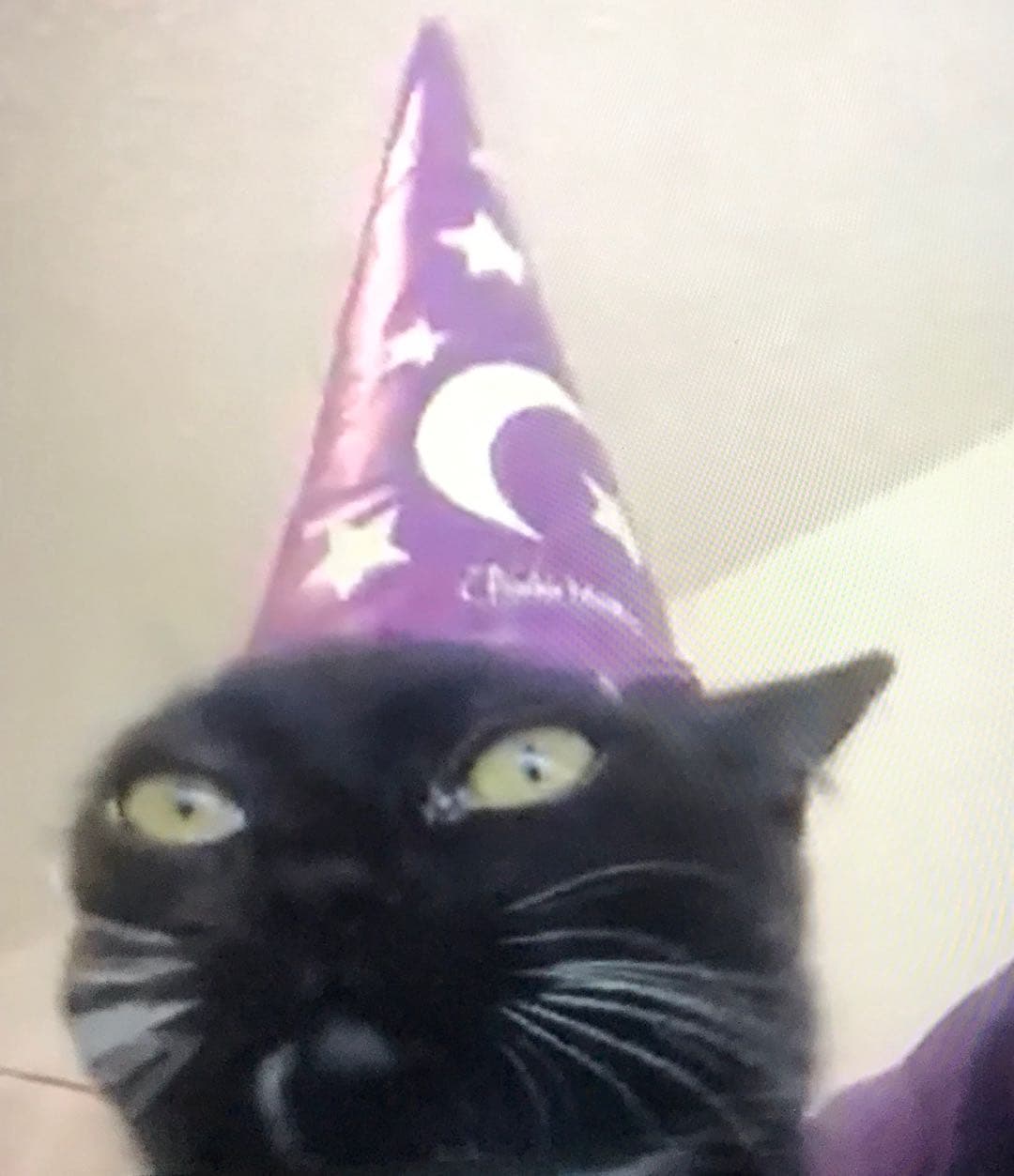 king_p